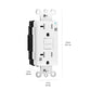 Basics Weather-Resistant Tamper-Resistant GFCI Receptacle with LED Indicator, Self-Test Feature, Ground Fault Circuit Interrupter for Indoor or Outdoor Use, 20 Amp, White