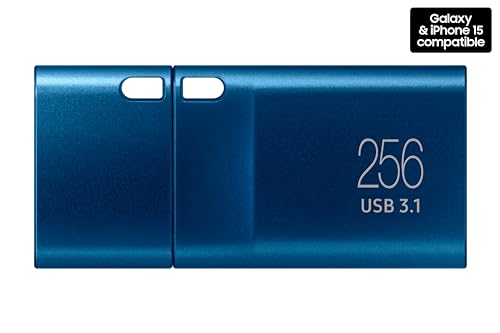Samsung Type-C USB Flash Drive, 256GB, Transfers 4GB Files in 11 Secs w/Up to 400MB/s USB 3.2 Gen 1 Read Speeds, Compatible w/USB 3.0/2.0, Waterproof, 2022, Blue, MUF-256DA/AM