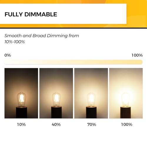 Hizashi Vintage LED Edison Bulb Dimmable, 6W Equivalent 60W, 3000k Soft White, E26 Base Led Light Bulbs, 700LM, UL Listed, High CRI 95+ Eye Protection, Clear Glass, Pack of 12