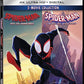 Spider-Man: Across the Spider-Verse / Spider-Man: Into the Spider-Verse - Set - 4K + Digital