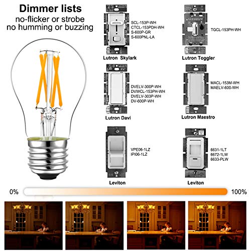 LiteHistory Dimmable E26 led Bulb 6W Equal 60 watt Vintage LED Edison ...