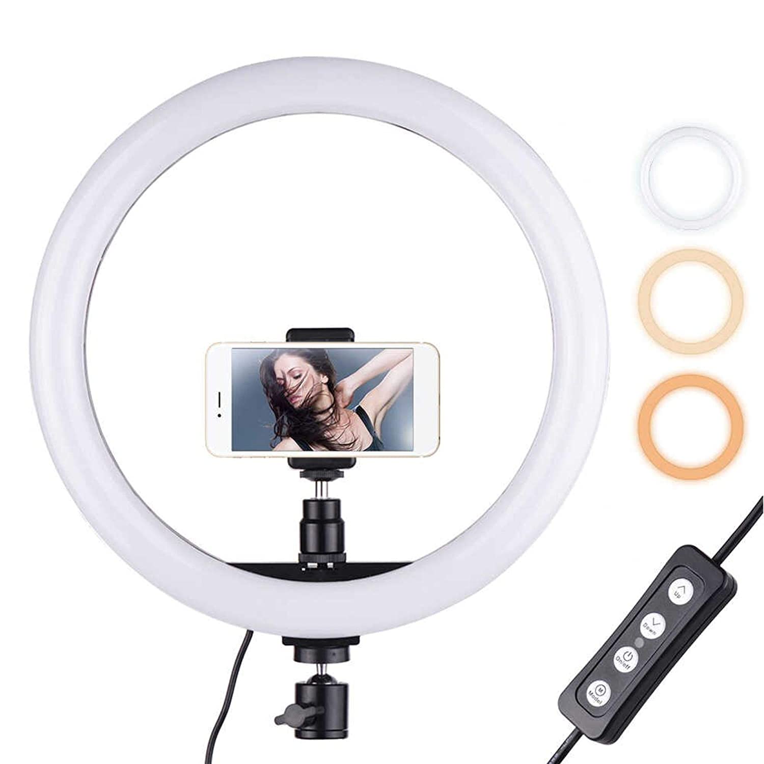 10" Portable LED Ring Light with 3 Color Modes Dimmable Lighting